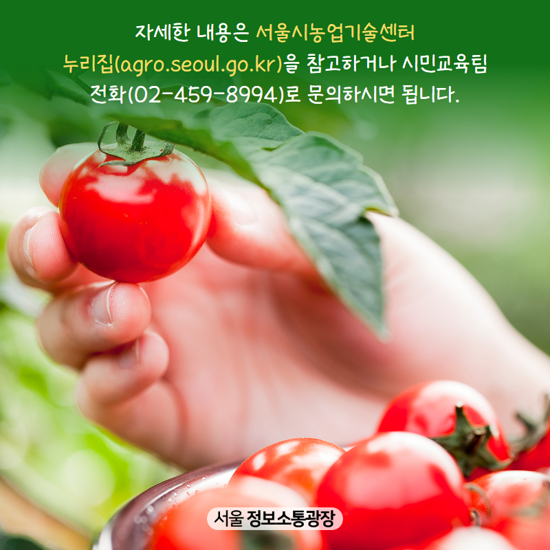 자세한 내용은 서울시농업기술센터 누리집( agro.seoul.go.kr)을 참고하거나 시민교육팀 전화(☎02-459-8994)로 문의하시면 됩니다.