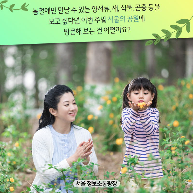 봄철에만 만날 수 있는 양서류, 새, 식물, 곤충 등을 보고 싶다면 이번 주말 서울의 공원에 방문해 보는 건 어떨까요?