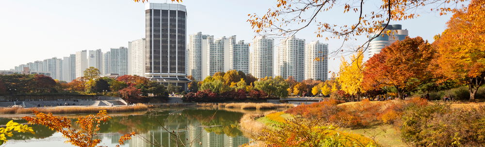 서울시, 깊어가는 가을 정취 느낄 수 있는 산책길 `서울 단풍길 96선` 선정