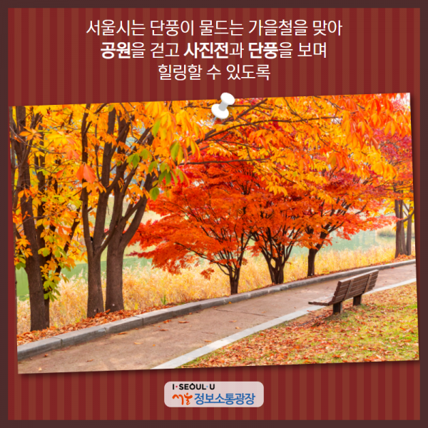 서울시는 단풍이 물드는 가을철을 맞아 공원을 걷고 사진전과 단풍을 보며 힐링할 수 있도록