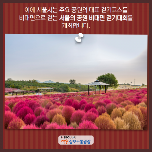 이에 서울시는 주요 공원의 대표 걷기코스를 비대면으로 걷는 '서울의 공원 비대면 걷기대회' 를 개최합니다.