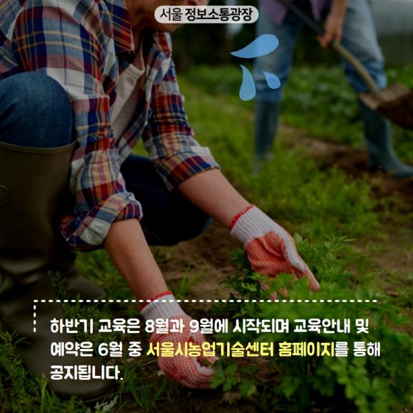 하반기 교육은 8월과 9월에 시작되며 교육안내 및 예약은 6월 중 서울시농업기술센터 홈페이지를 통해 공지됩니다.
