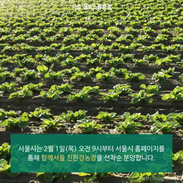 서울시는 2월 1일(목) 오전 9시부터 서울시 홈페이지를 통해 함께서울 친환경농장을 선착순 분양합니다.