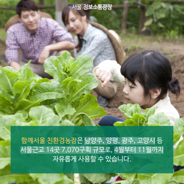 함께서울 친환경농장은 남양주, 양평, 광주, 고양시 등 서울근교 14곳 7,070구획 규모로, 4월부터 11월까지 자유롭게 사용할 수 있습니다.