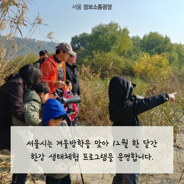 서울시는 겨울방학을 맞아 12월 한 달간 한강 생태체험 프로그램을 운영합니다.