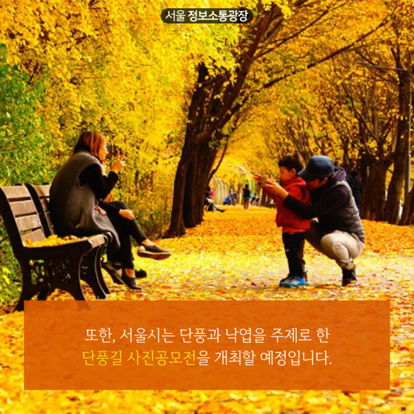 또한, 서울시는 단풍과 낙엽을 주제로 한 단풍길 사진공모전을 개최할 예정입니다.