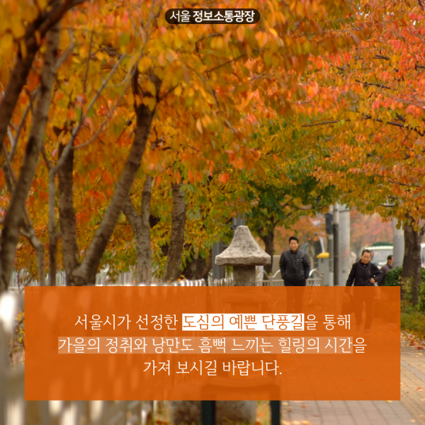 서울시가 선정한 도심의 예쁜 단풍길을 통해 가을의 정취와 낭만도 흠뻑 느끼는 힐링의 시간을 가져 보시길 바랍니다.