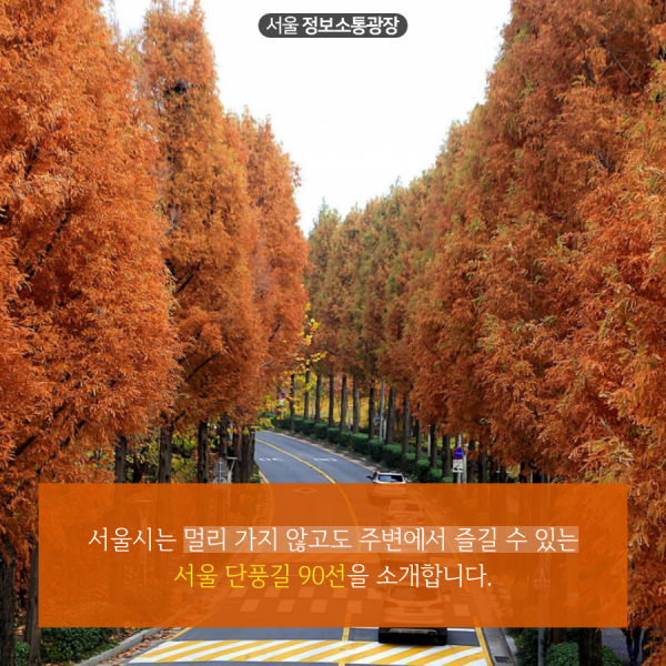 서울시는 멀리 가지 않고도 주변에서 즐길 수 있는 서울 단풍길 90선을 소개합니다.
