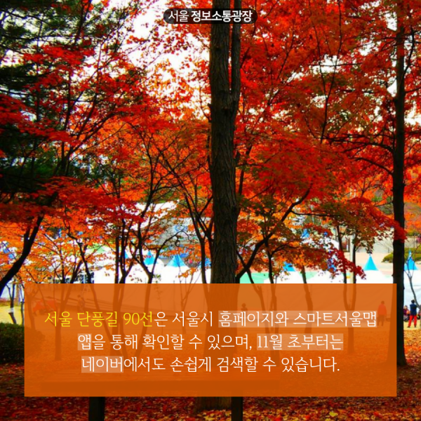 서울 단풍길 90선은 서울시 홈페이지와 스마트서울맵 앱을 통해 확인할 수 있으며, 11월 초부터는 네이버에서도 손쉽게 검색할 수 있습니다.