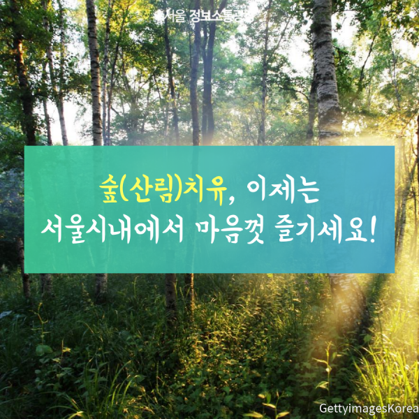 숲(산림)치유, 이제는 서울시내에서 마음껏 즐기세요!