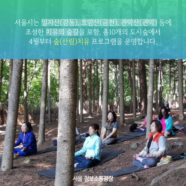서울시는 일자산(강동), 호암산(금천), 관악산(관악) 등에 조성한 치유의 숲길을 포함, 총10개의 도시숲에서 4월부터 숲(산림)치유 프로그램을 운영합니다.