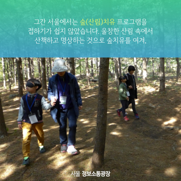 그간 서울에서는 숲(산림)치유 프로그램을 접하기가 쉽지 않았습니다. 울창한 산림 속에서 산책하고 명상하는 것으로 숲치유를 여겨,