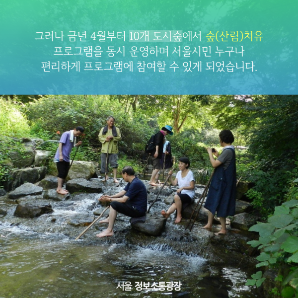 그러나 금년 4월부터 10개 도시숲에서 숲(산림)치유 프로그램을 동시 운영하며 서울시민 누구나 편리하게 프로그램에 참여할 수 있게 되었습니다.