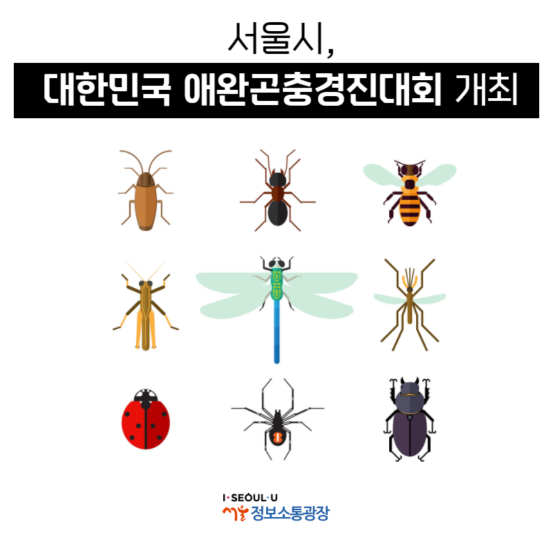 서울시, 대한민국 애완곤충경진대회 개최