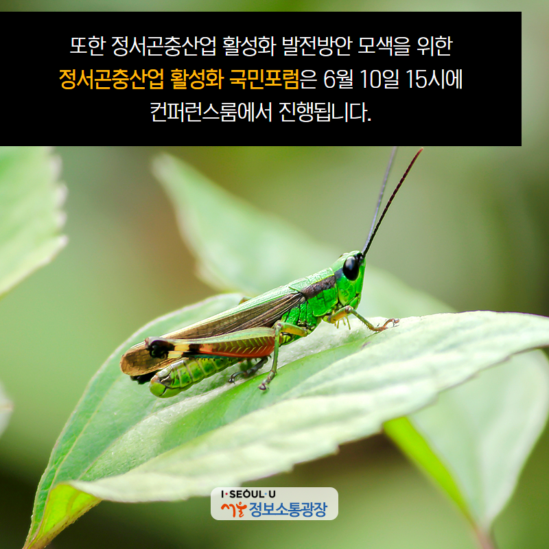 또한 정서곤충산업 활성화 발전방안 모색을 위한 “정서곤충산업 활성화 국민포럼”은 6월 10일 15시에 컨퍼런스룸에서 진행됩니다.