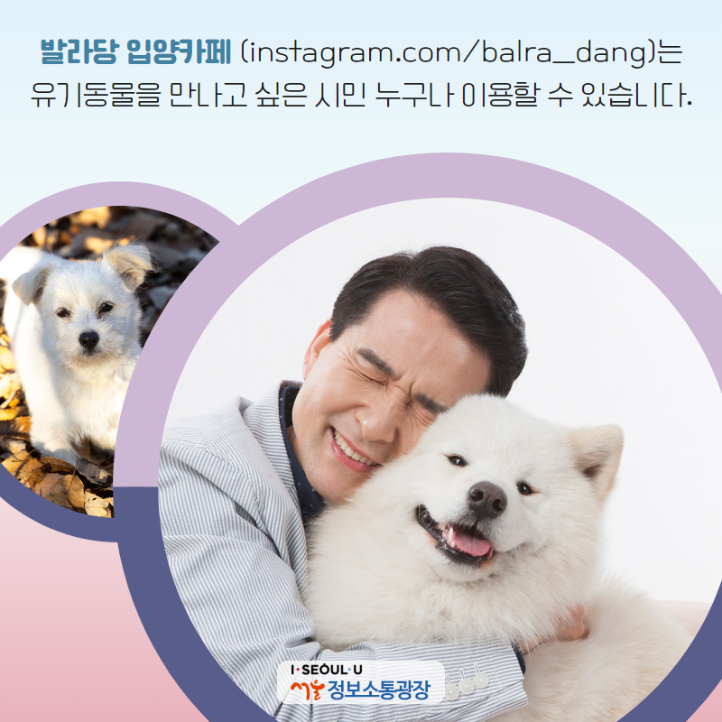 ‘발라당 입양카페’(https://www.instagram.com/balra_dang/)는 유기동물을 만나고 싶은 시민 누구나 이용할 수 있습니다.
