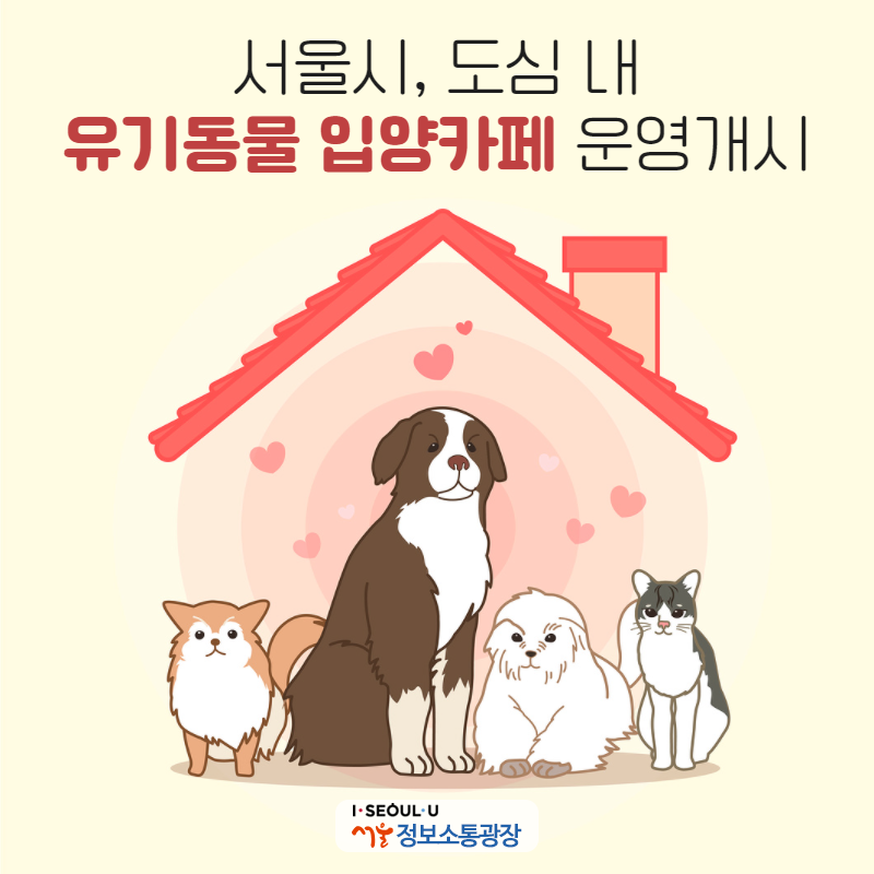 서울시, 도심 내 `유기동물 입양카페` 운영개시