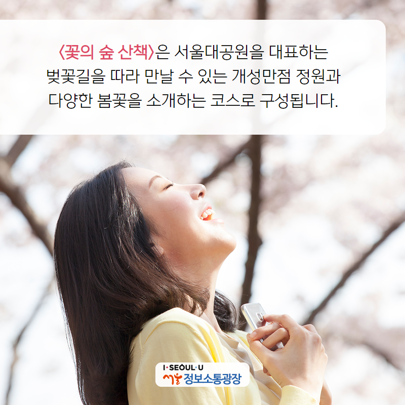 <꽃의 숲 산책>은 서울대공원을 대표하는 벚꽃길을 따라 만날 수 있는 개성만점 정원과 다양한 봄꽃을 소개하는 코스로 구성됩니다.