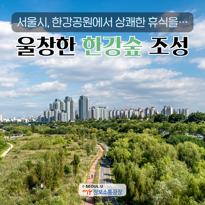 서울시, 한강공원에서 상쾌한 휴식을… 울창한‘한강숲’조성