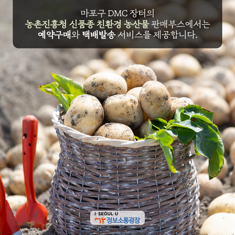 마포구 DMC 장터의 ‘농촌진흥청 신품종 친환경 농산물’ 판매부스에서는 예약구매와 택배발송 서비스를 제공합니다.