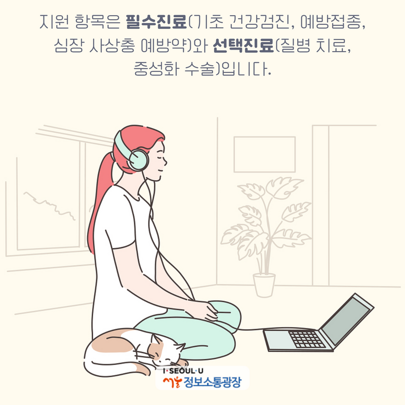 지원 항목은 필수진료(기초 건강검진, 예방접종, 심장 사상충 예방약)와 선택진료(질병 치료, 중성화 수술)입니다.