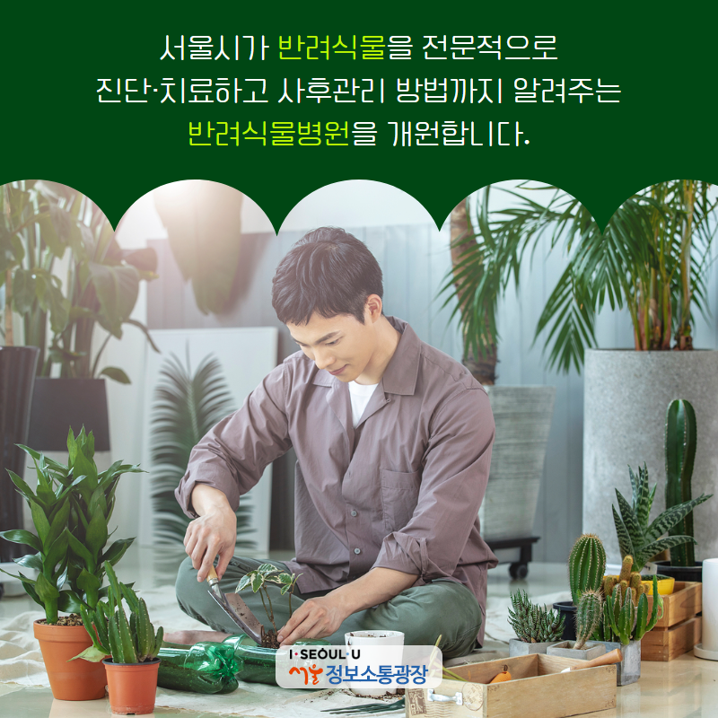 서울시가 반려식물을 전문적으로 진단‧치료하고 사후관리 방법까지 알려주는 반려식물병원을 4월 10일(월) 개원합니다.