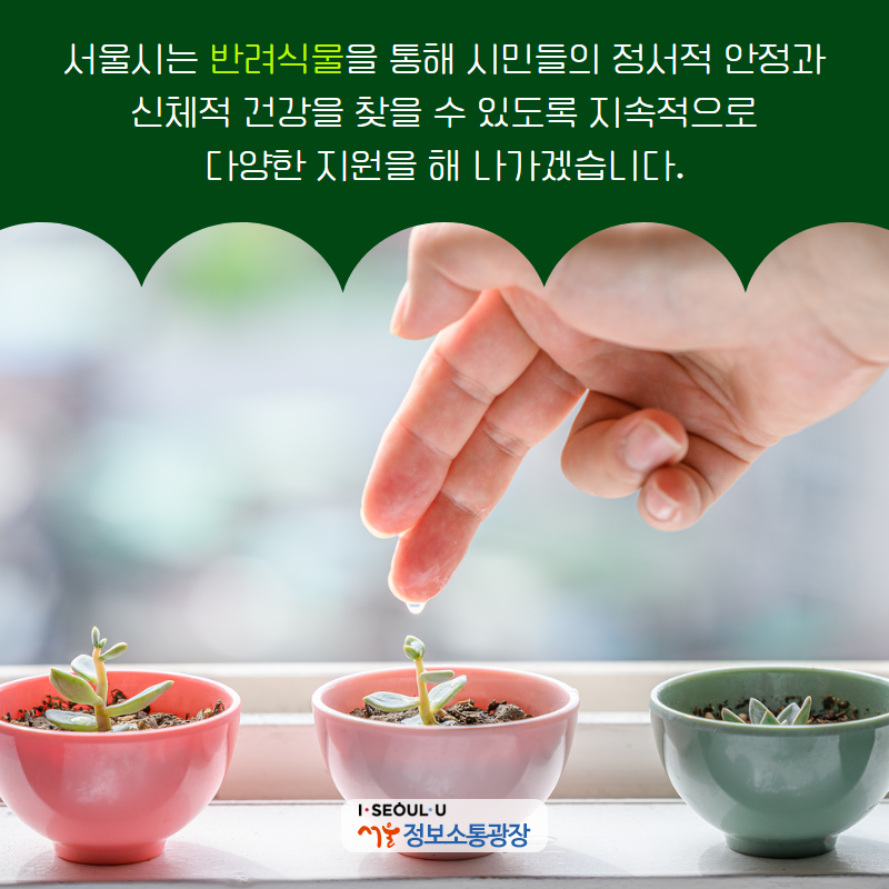 서울시는 반려식물을 통해 시민들의 정서적 안정과 신체적 건강을 찾을 수 있도록 지속적으로 다양한 지원을 해 나가겠습니다.