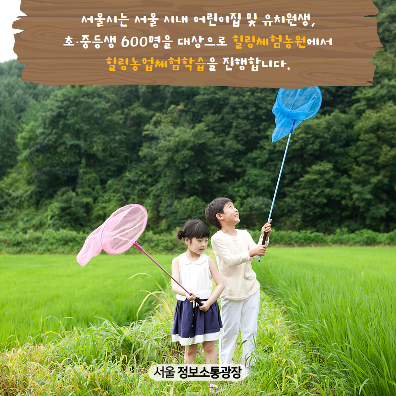 서울시는 서울 시내 어린이집 및 유치원생, 초‧중등생 600명을 대상으로 「힐링체험농원」에서 ‘힐링농업체험학습’을 진행합니다.