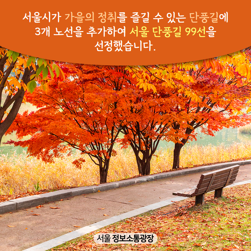 서울시가 가을의 정취를 즐길 수 있는 단풍길에 3개 노선을 추가하여 ‘서울 단풍길 99선’을 선정했습니다.