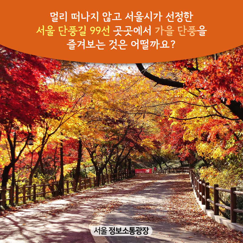멀리 떠나지 않고 서울시가 선정한 ‘서울 단풍길 99선’ 곳곳에서 가을 단풍을 즐겨보는 것은 어떨까요?