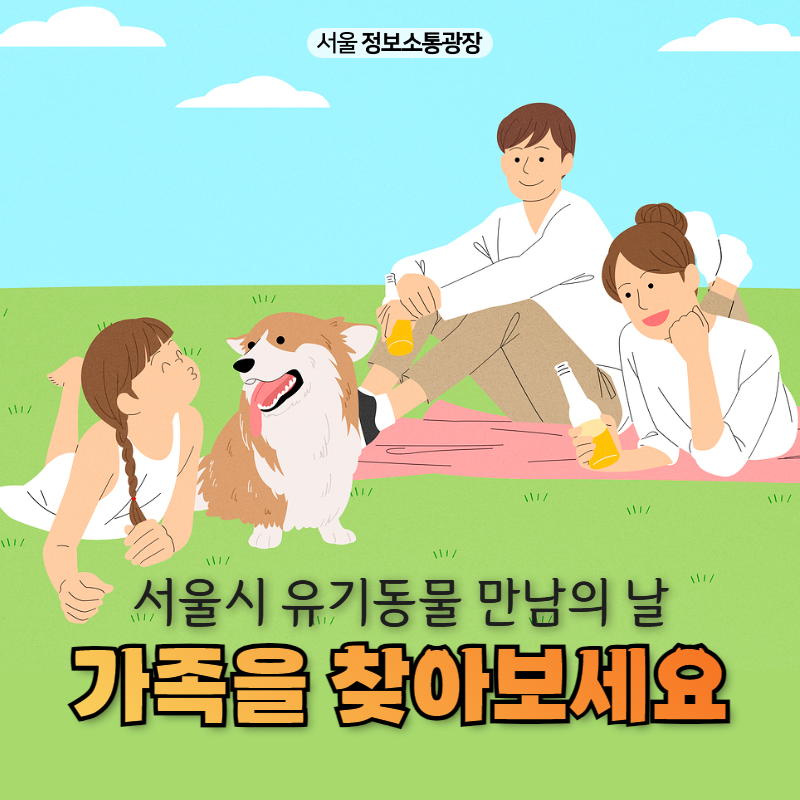 서울시 유기동물 만남의 날, 가족을 찾아보세요