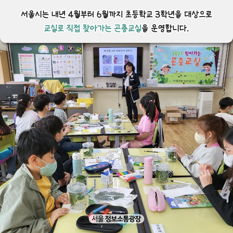 서울시는 내년 4월부터 6월까지 초등학교 3학년을 대상으로 교실로 직접 찾아가는 곤충교실을 운영합니다.