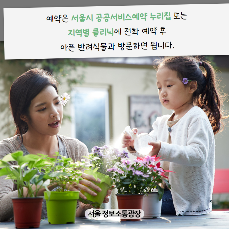 예약은 서울시 공공서비스예약 누리집 또는 지역별 클리닉에 전화 예약 후 아픈 반려식물과 방문하면 됩니다.