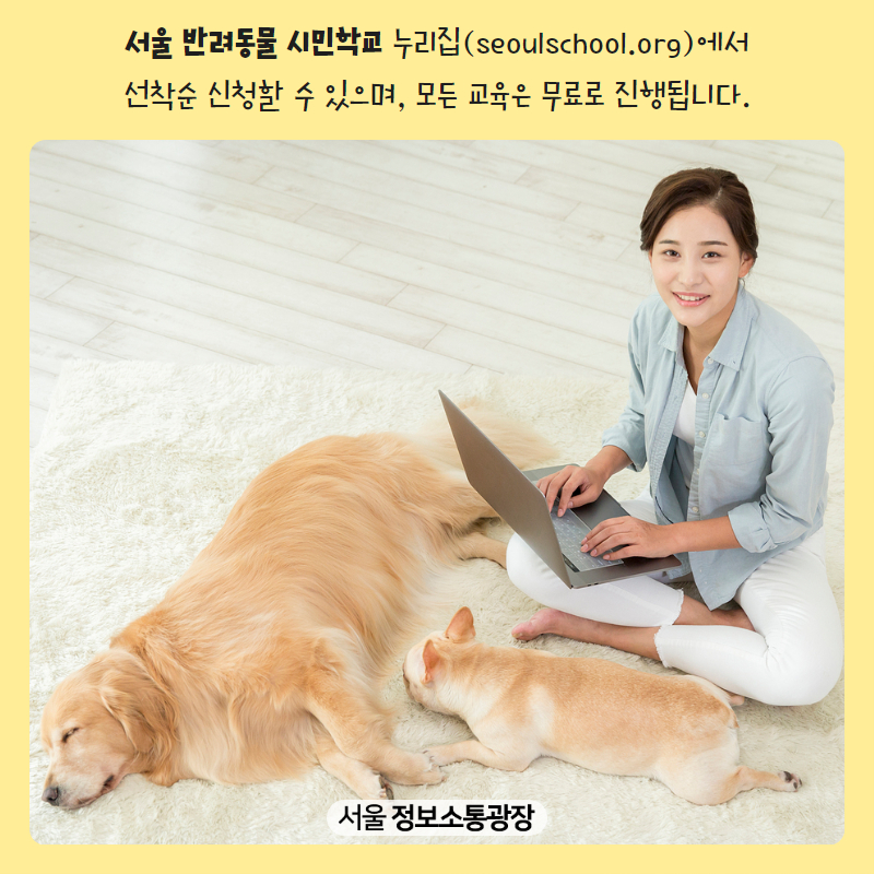 ‘서울 반려동물 시민학교’ 누리집( seoulschool.org)에서 선착순 신청할 수 있으며, 모든 교육은 무료로 진행됩니다.