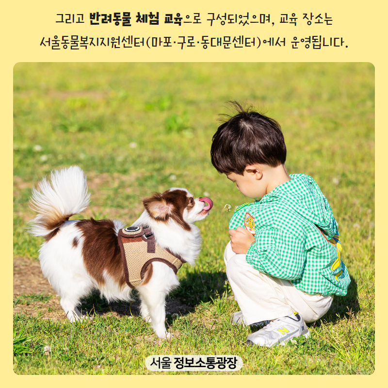 그리고 <반려동물 체험 교육>으로 구성되었으며, 교육 장소는 서울동물복지지원센터(마포·구로·동대문센터)에서 운영됩니다.