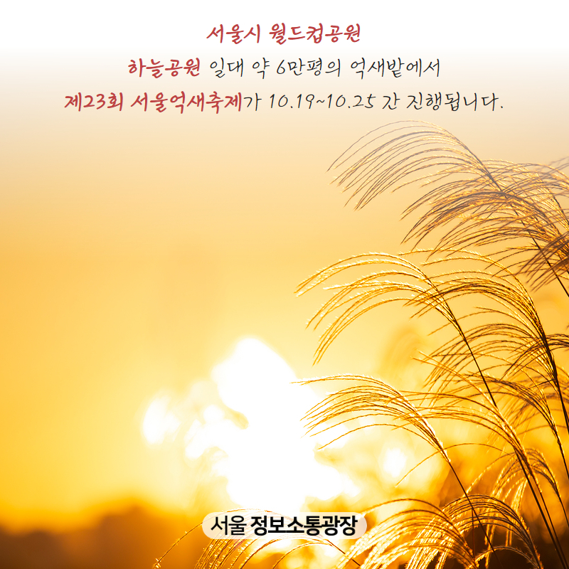 서울시 월드컵공원 하늘공원 일대 약 6만평의 억새밭에서 제23회 서울억새축제가 10.19~10.25 간 진행됩니다.