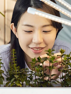 우리집 식물 아플 땐 서울시 반려식물 클리닉에서 치료받아요