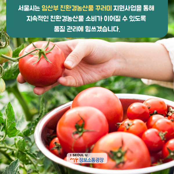 서울시는 임산부 친환경농산물 꾸러미 지원사업을 통해 지속적인 친환경농산물 소비가 이어질 수 있도록 품질 관리에 힘쓰겠습니다.