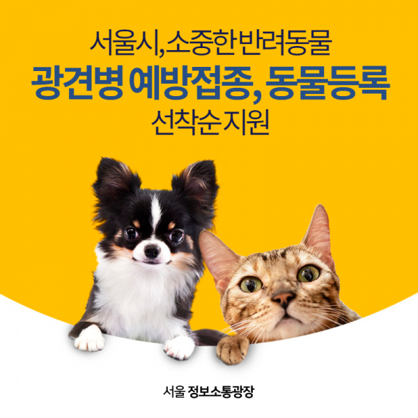 서울시, 소중한 반려동물 광견병 예방접종,동물등록 선착순 지원