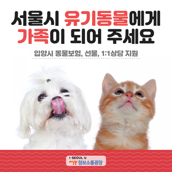서울시 유기동물에게 가족이 되어 주세요. 입양시 동물보험, 선물, 1:1상담 지원