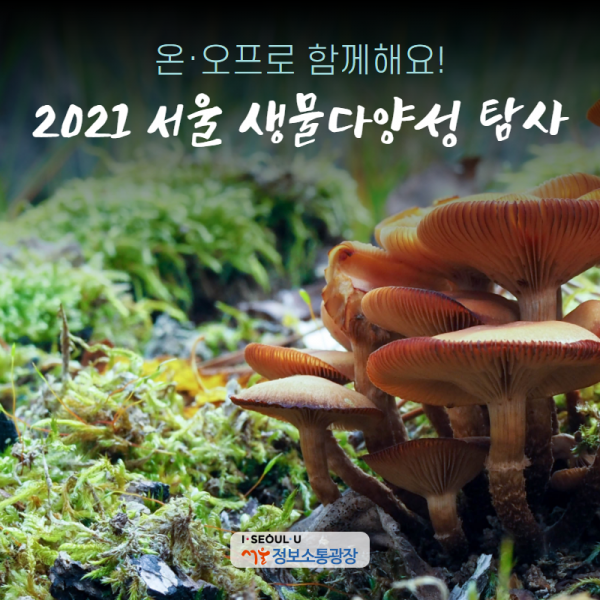 온․ 오프로 함께해요! 2021 서울 생물다양성 탐사