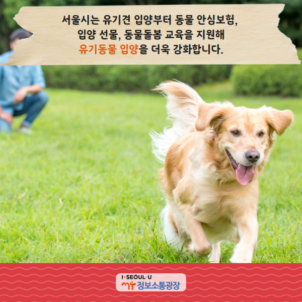 서울시는 유기견 입양부터 동물 안심보험, 입양 선물, 동물돌봄 교육을 지원해 유기동물 입양을 더욱 강화합니다.