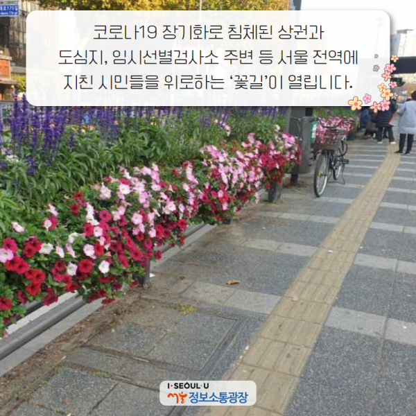 코로나19 장기화로 침체된 상권과 도심지, 임시선별검사소 주변 등 서울 전역에 지친 시민들을 위로하는 ‘꽃길’이 열립니다.