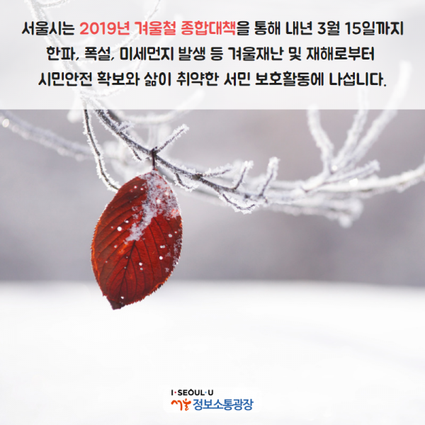 서울시는 「2019년 겨울철 종합대책」을 통해 내년 3월 15일까지 한파, 폭설, 미세먼지 발생 등 겨울재난 및 재해로부터 시민안전 확보와 삶이 취약한 서민 보호활동에 나섭니다.