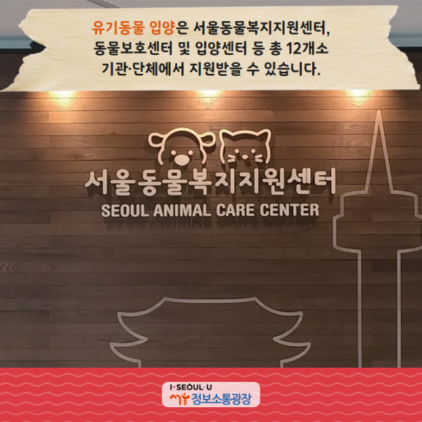 유기동물 입양은 서울동물복지지원센터, 동물보호센터 및 입양센터 등 총 12개소 기관·단체에서 지원받을 수 있습니다.