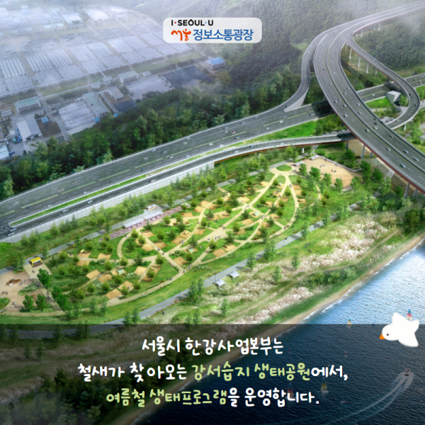 서울시 한강사업본부는 철새가 찾아오는 강서습지 생태공원에서, 여름철 생태프로그램을 운영합니다.