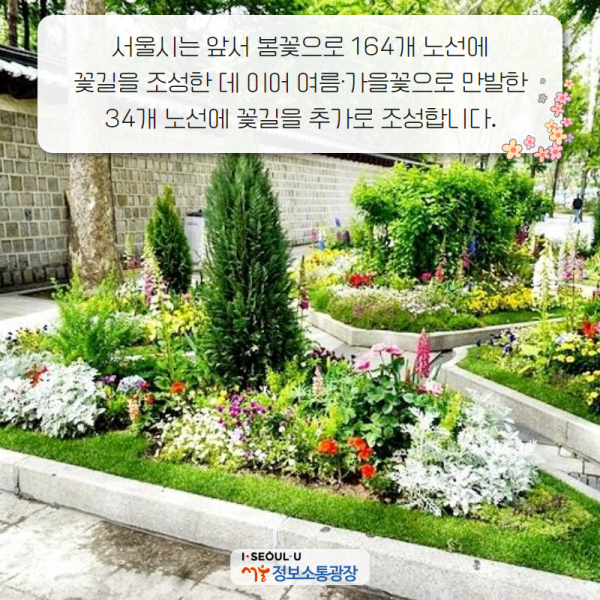 서울시는 앞서 봄꽃으로 164개 노선에 꽃길을 조성한 데 이어 여름·가을꽃으로 만발한 34개 노선에 꽃길을 추가로 조성합니다.