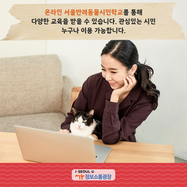 온라인 ‘서울반려동물시민학교’를 통해 다양한 교육을 받을 수 있습니다. 관심있는 시민 누구나 이용 가능합니다.