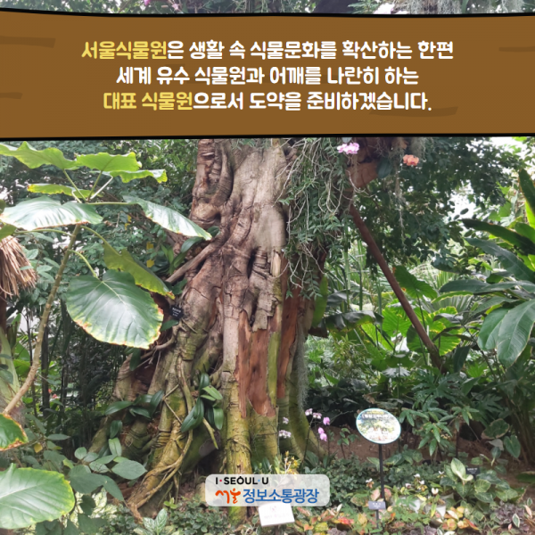 서울식물원은 생활 속 식물문화를 확산하는 한편 세계 유수 식물원과 어깨를 나란히 하는 대표 식물원으로서 도약을 준비하겠습니다.