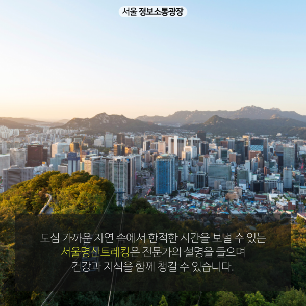 도심 가까운 자연 속에서 한적한 시간을 보낼 수 있는 서울명산트레킹은 전문가의 설명을 들으며 건강과 지식을 함께 챙길 수 있습니다.
